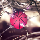 dash_dribbble Image Caption Here